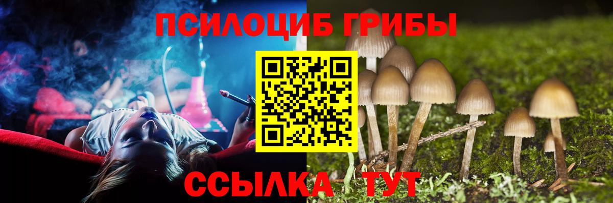 Галлюциногенные грибы Psilocybe  Вход с VPN  Губкин 