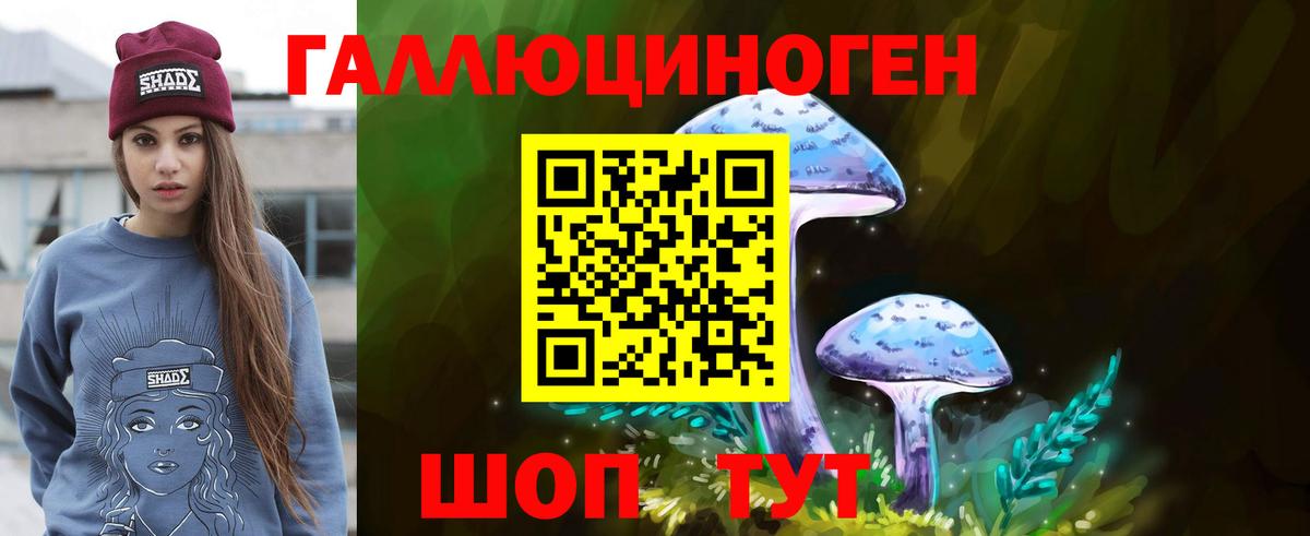 Галлюциногенные грибы прущие грибы Губкин